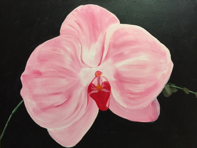 image of Pink Orchid